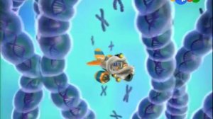 12  Путешествия Адибу  Как устроен человек   Почему мои глаза зе