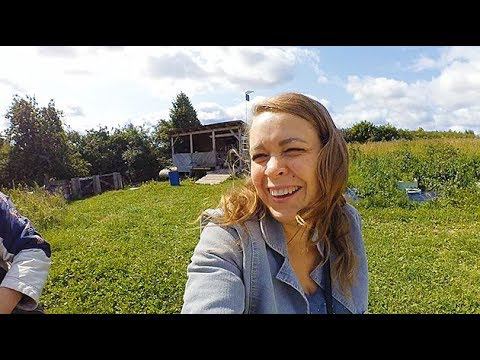 КУПИЛ ЖЕНЕ ШУБУ! Нашей машине 35 лет. смотреть онлайн