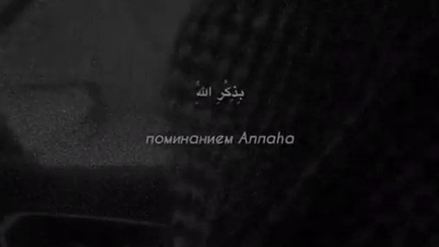 Мухаммад аль-Люхайдан | Сура 13 Гром, 28-й аят || #quran #мухаммадлюхайдан #напоминание смотреть онлайн