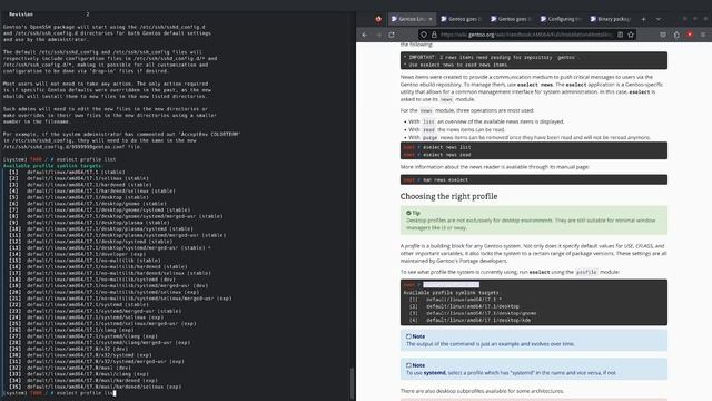 Пример установки дистрибутива Gentoo Linux.