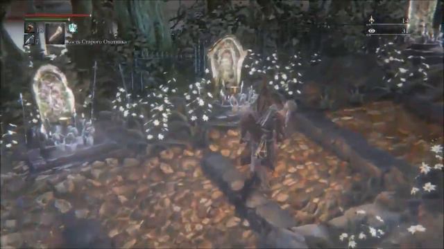 Bloodeborne центральный птумерианский лабиринт третья часть смотреть онлайн