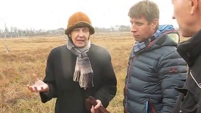 Клюквенное болото