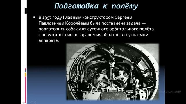 Белка и Стрелка - собаки-космонавты /День космонавтики/ смотреть онлайн