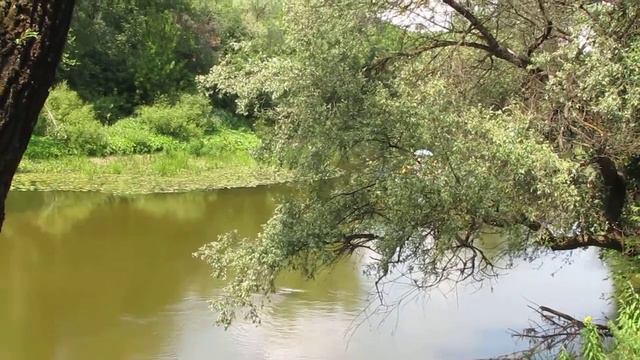 НЕСИ ДОБРО! Сплав на плотах по реке Сок. 1. Встреча в Верхней Солонцовке 13.07.2013 смотреть онлайн