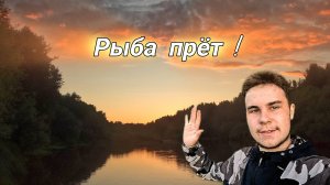 Рыбалка на леща ночью! Хотел леща ,а поймал щуку ! Сом на фидер вот это дела! Рыбалка с другом!