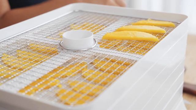 How to Dehydrate Mango | Luvele Breeze Dehydrator смотреть онлайн