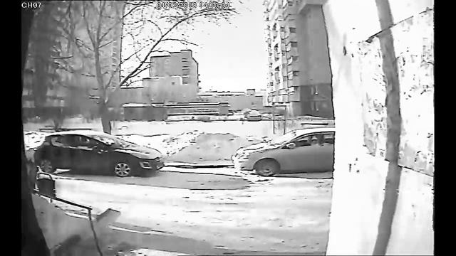 В Новосибирске подозреваемый в мошенничестве попал на видеокамеры смотреть онлайн