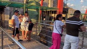 СОЧИ ПАРК/ АДСКИЕ ОЧЕРЕДИ/ ДОРОГИЕ БИЛЕТЫ