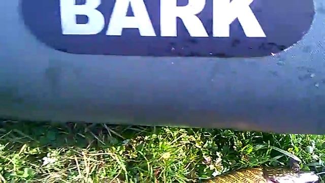 WP 20171008 13 59 31 Pro смотреть онлайн