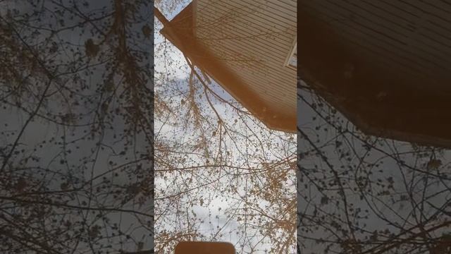 Полировка столешницы обеденного стола (Часть 1. Фиксируем повреждения). смотреть онлайн