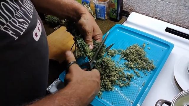 Hajdučka Trava - Achillea Millefolium - čaj Od Hajdučke Trave - Stolisnik