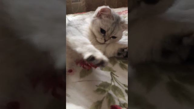 Вот, что значит сладко спать