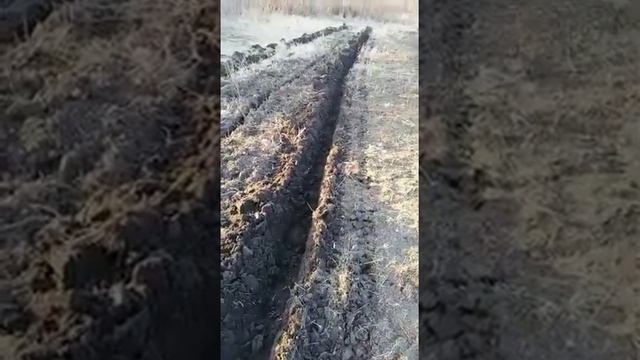 Мотоблок брата. Первый заход так сказать смотреть онлайн