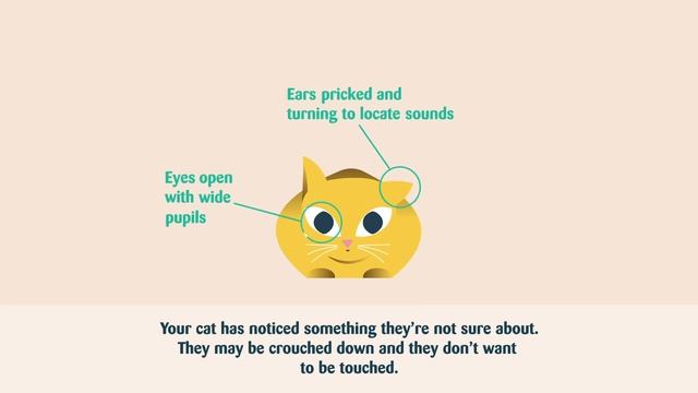 Recognising stress in your cat | Cat behaviour explained ep2 смотреть онлайн