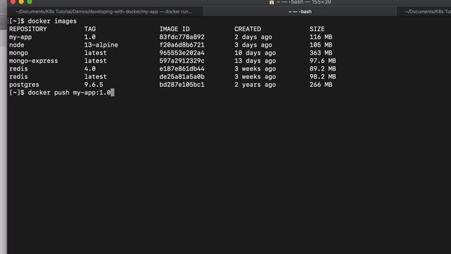 Private Repository explained _ Registry on AWS - Docker in Practice __ Docker Tutorial 11 смотреть онлайн