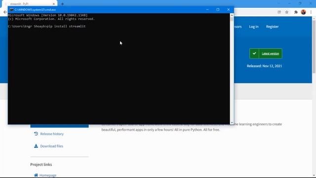 Streamlit Tutorial | Build web Apps with Python and Streamlit for beginners смотреть онлайн