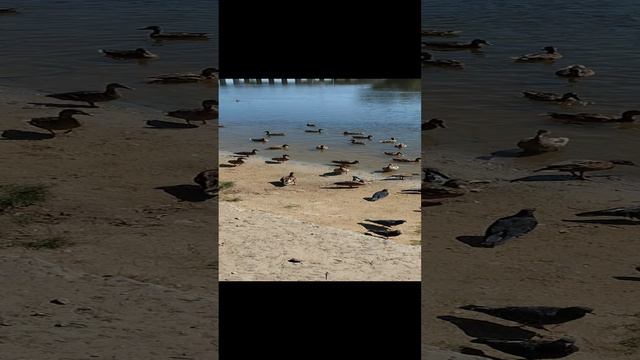 Природааааа