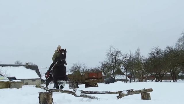 Cкиджоринг. Сноуборд vs лошадь смотреть онлайн