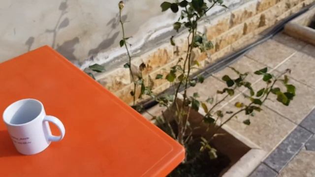 модный дворик из тротуарной плитки ЭЛИТА с кубиком + КАРАНДАШ от фирмы @modniy_dvorik смотреть онлайн