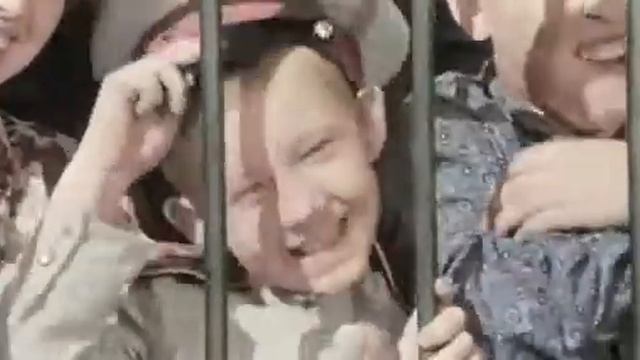 Суворовец Трофимов и бегемоты смотреть онлайн