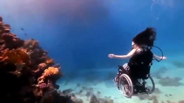 Следуй за своей мечтой смотреть онлайн