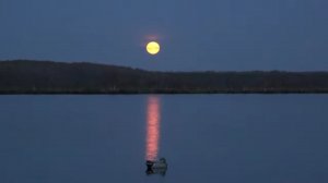 Охота на осеннюю утку\гуся #17 Шикарная луна