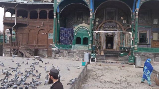 Khankah Mir Syed Ali Hamdani #feeding #birds #charity смотреть онлайн