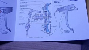сцепление оки