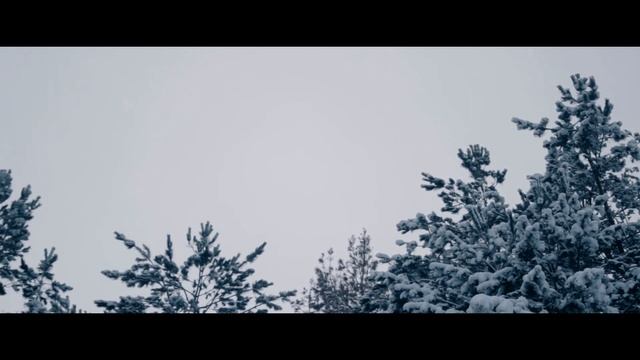 WINTER VIDEO/CANON 600D смотреть онлайн