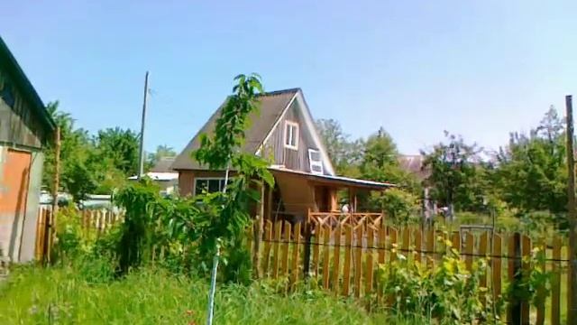 Черешня. Результат лечения препаратом Хорус. смотреть онлайн