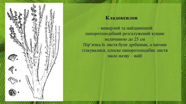 Давні рослини Plants of the past смотреть онлайн
