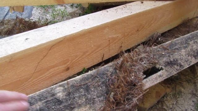 Мох - природный антисептик или болотный навоз? смотреть онлайн