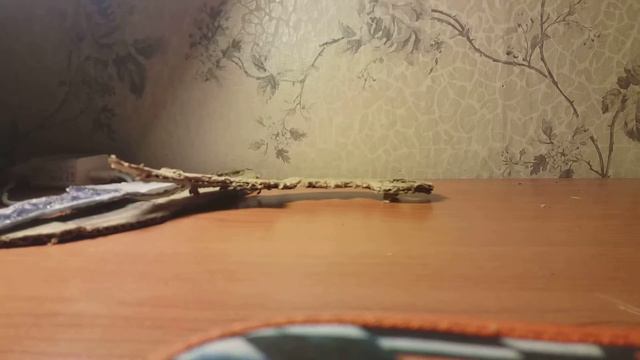 Керабит из картона и без скина смотреть онлайн
