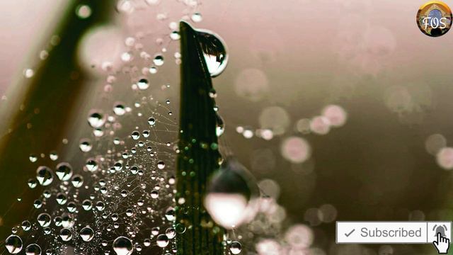 Psalms against Secret Enemies | Flush Fake Friends Out Of Your Life! смотреть онлайн