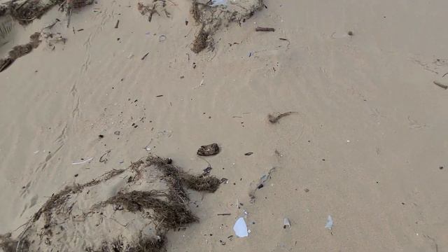 #Анапа. Джемете. Показываю правду, как есть. Черное море 2024. смотреть онлайн