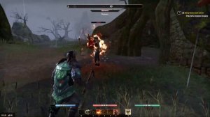 The Elder Scrolls Online - #8 В погоне за тенями !