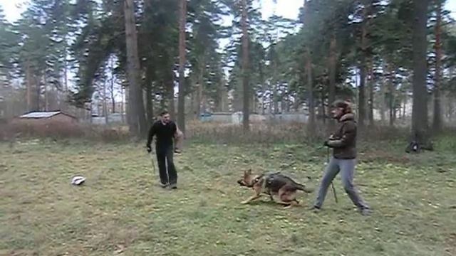 Лихт Штерн Вин Дизель смотреть онлайн