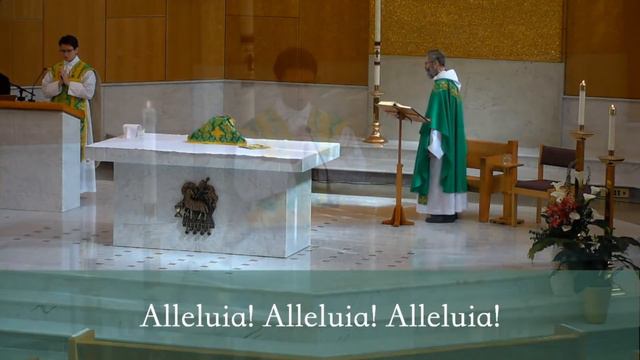 12th Sunday Mass | June 21, 2020 (9:30am PDT)  #Catholic #Mass #WorshipatHome #Olympia смотреть онлайн