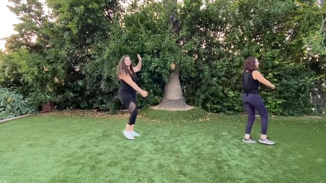 Numa Numa - Israeli Dance Revolution смотреть онлайн