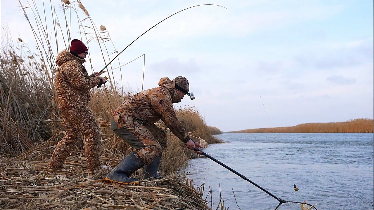 ВОТ ЭТО ПОПАЛИ НА РЫБАЛКУ. ЗИМНИЙ ЖОР САЗАНА. Рыбалка на закидушки и донки. смотреть онлайн