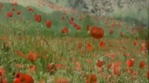 Живое пламя Евгений Носов.