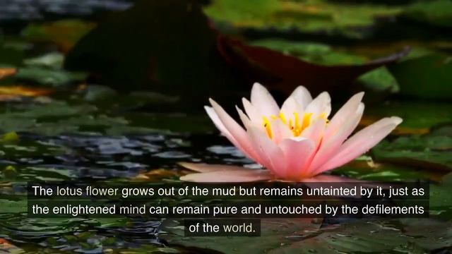Om Mani Padme Hum Chanting for Inner Peace and Spiritual Awakening смотреть онлайн