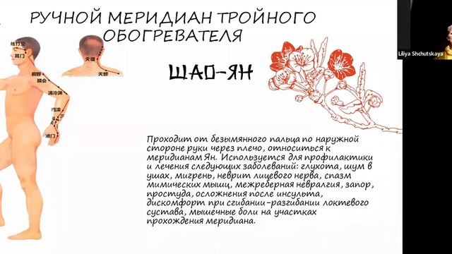 Философские основы Китайской медицины. Меридианы тела человека. смотреть онлайн