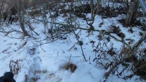 Горы Чечни. Осенний поход в Галанчожском районе.