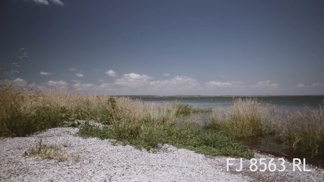 Плагин Film Convert Pro - Adobe Premiere