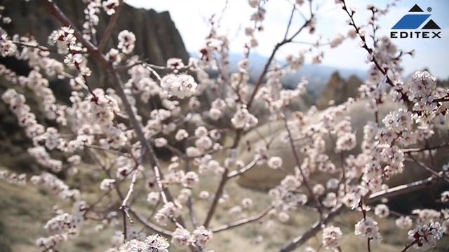 Editex Outdoor Shoes - Gate to travel (Cappadocia) смотреть онлайн