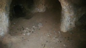 Крольчатник. 2 месяца кроличьей яме