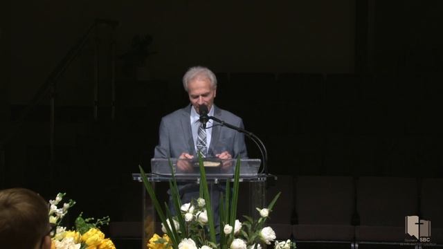 Live Stream 06.17.2020 смотреть онлайн