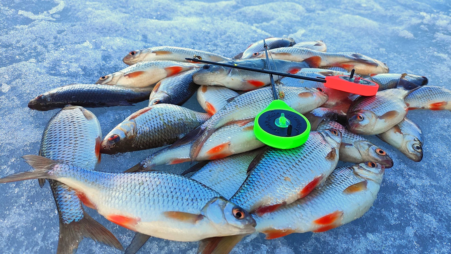 ПОКЛЁВКИ ОДНА ЗА ДРУГОЙ. НИМФА РУЛИТ. Рыбалка в Красновидово, часть 2. смотреть онлайн