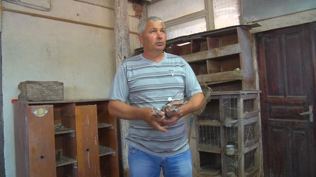 Акбаши - голуби Николая Чучалина. Часть 1. смотреть онлайн